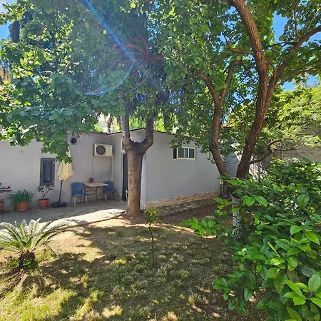 Near Pazari Ri טיראנה